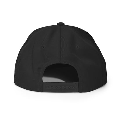 Van Man Snapback Hat